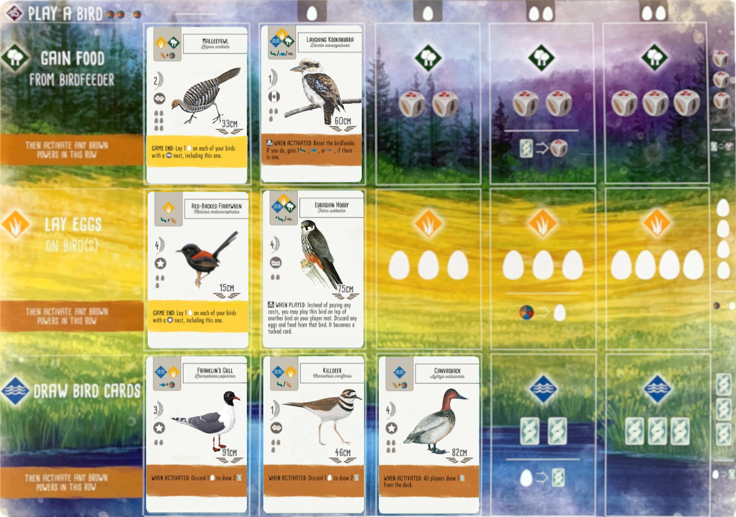 A board at the end of a round of Wingspan