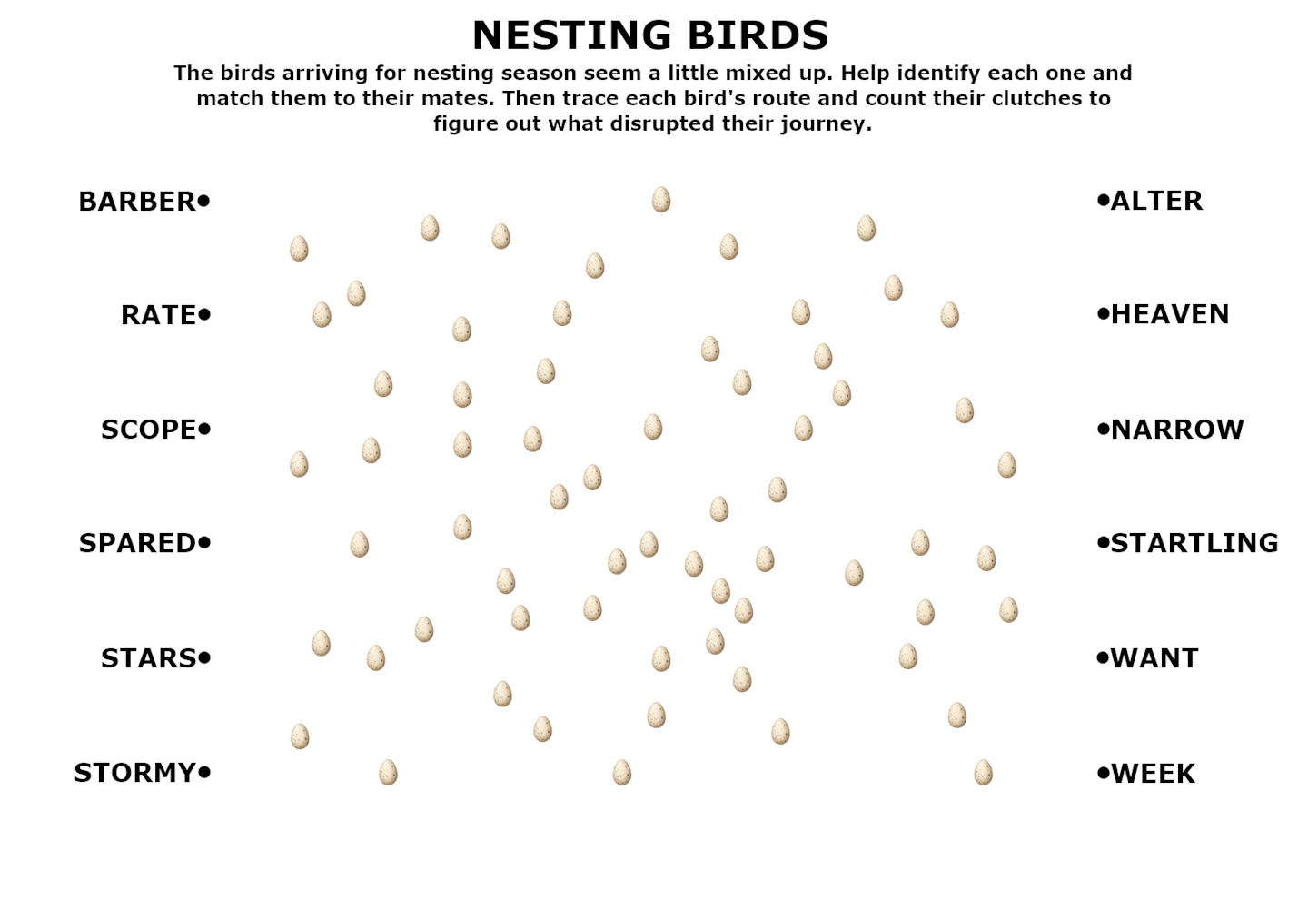 A nesting ground littered with eggs