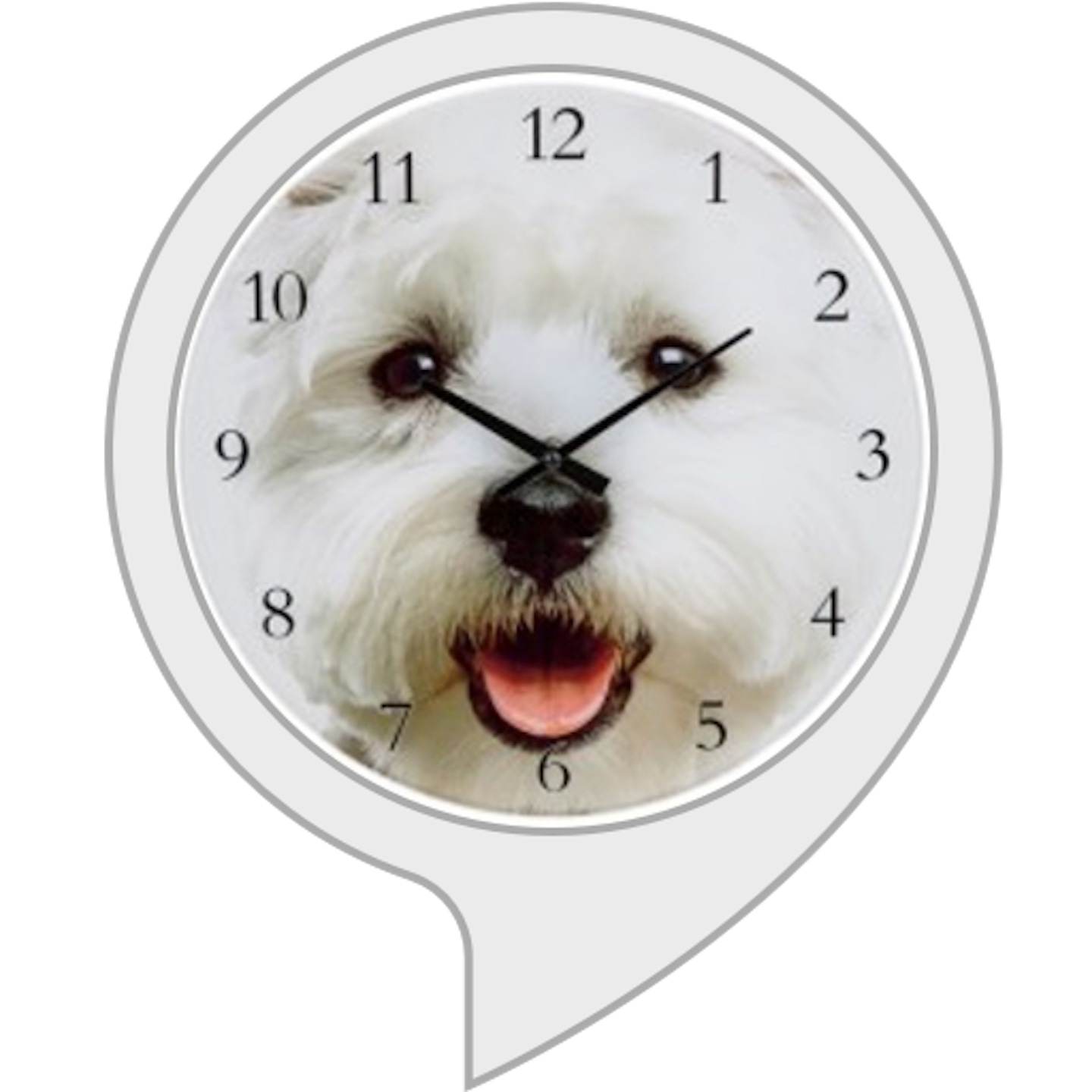 The Watchdog alexa skill logo